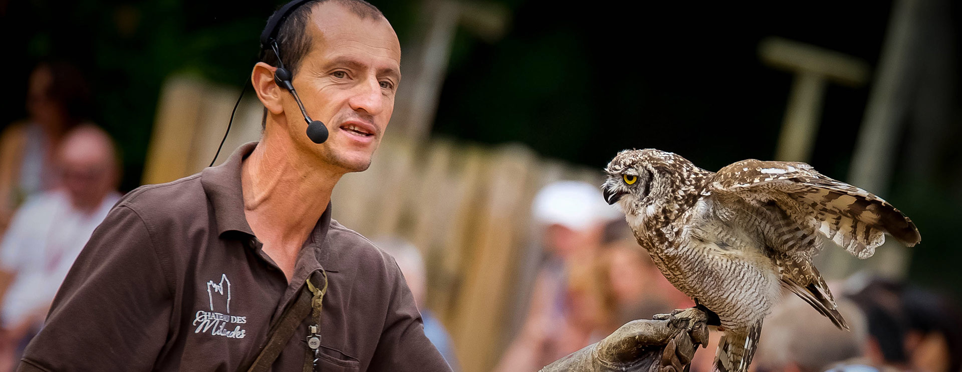 Birds of Prey Demonstration - A pedagogic presentation of protected species