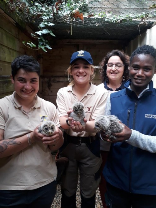 Trois bébés, trois stagiaires ! ®ChâteaudesMilandes