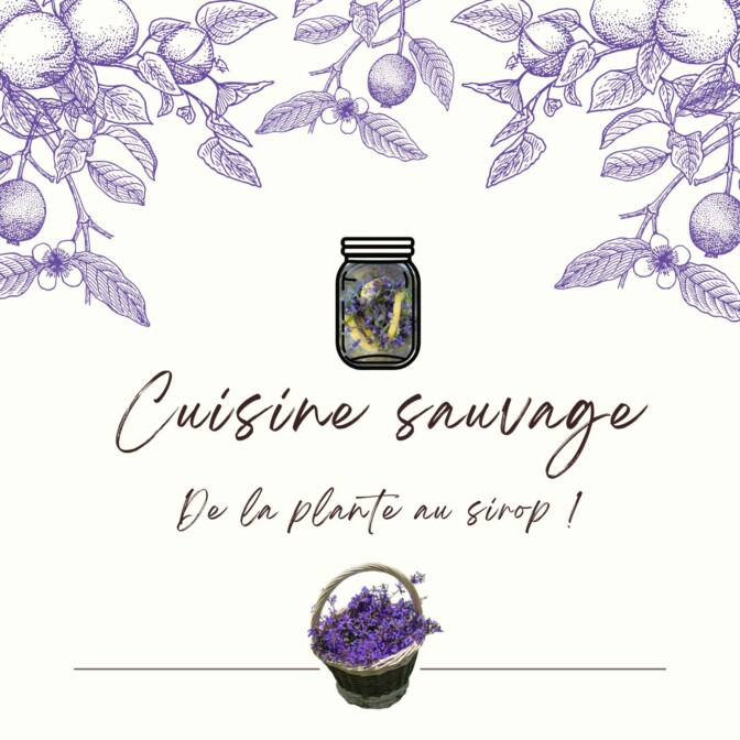 ®ChâteaudesMilandes