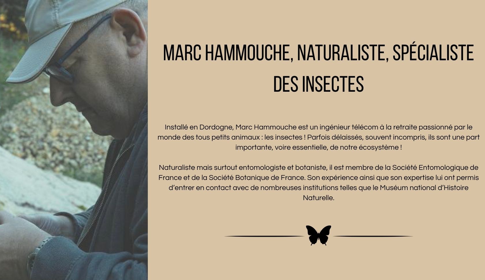 ®Marc Hammouche - Naturaliste et spécialiste des insectes
