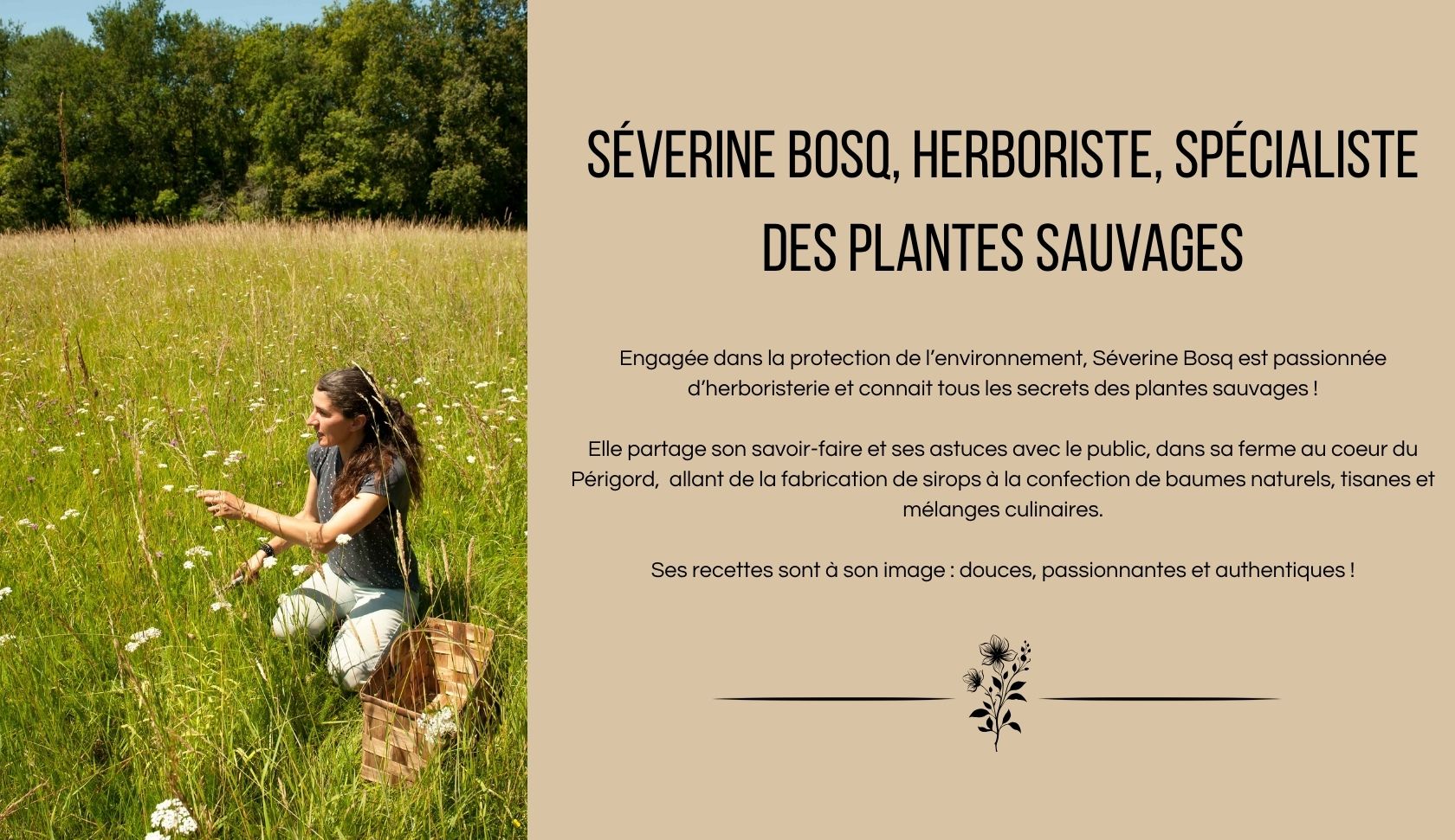 ®Séverine Bosq - Herboriste, spécialiste des plantes sauvages