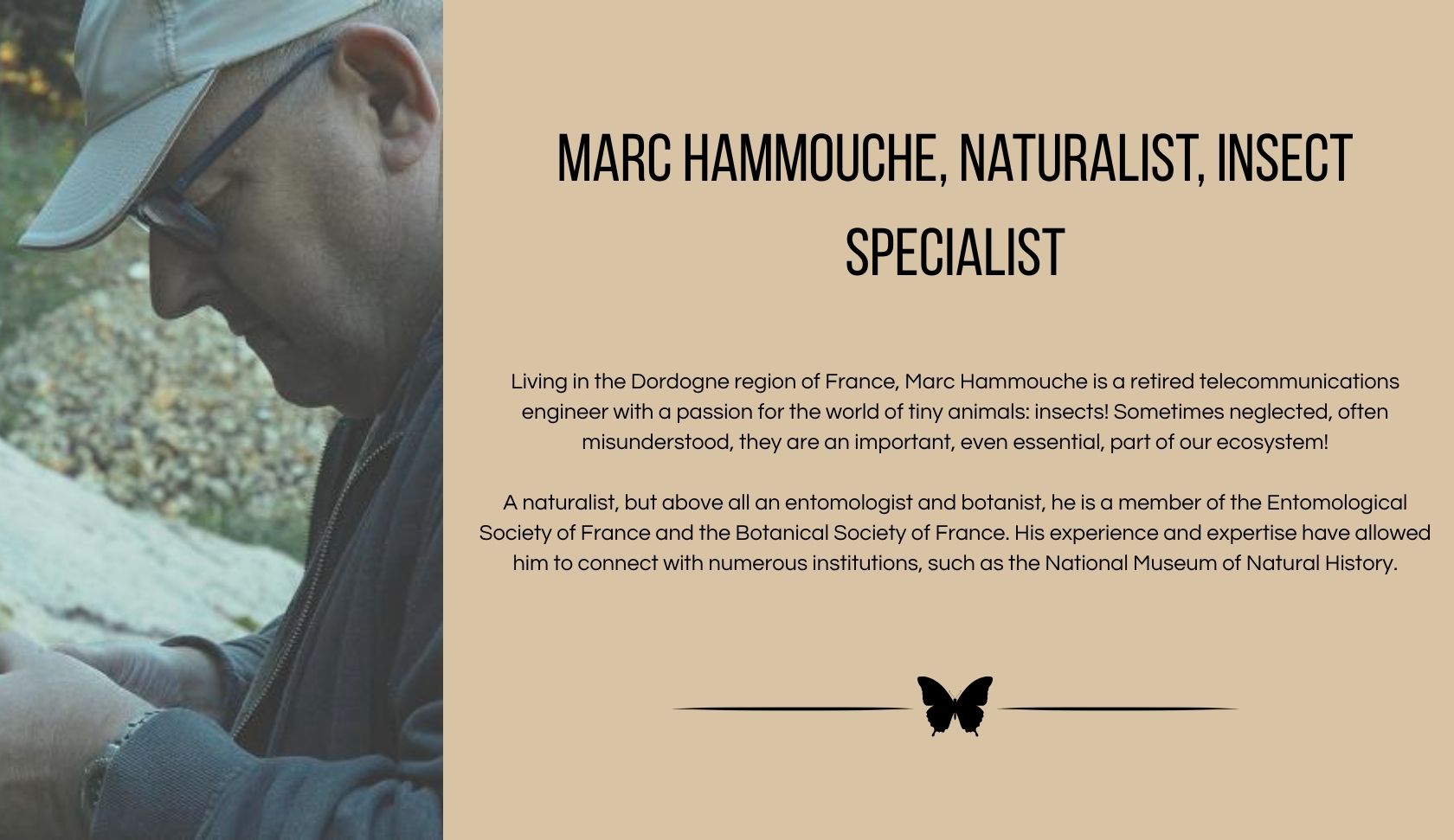 ®Marc Hammouche, naturalist, insect specialist