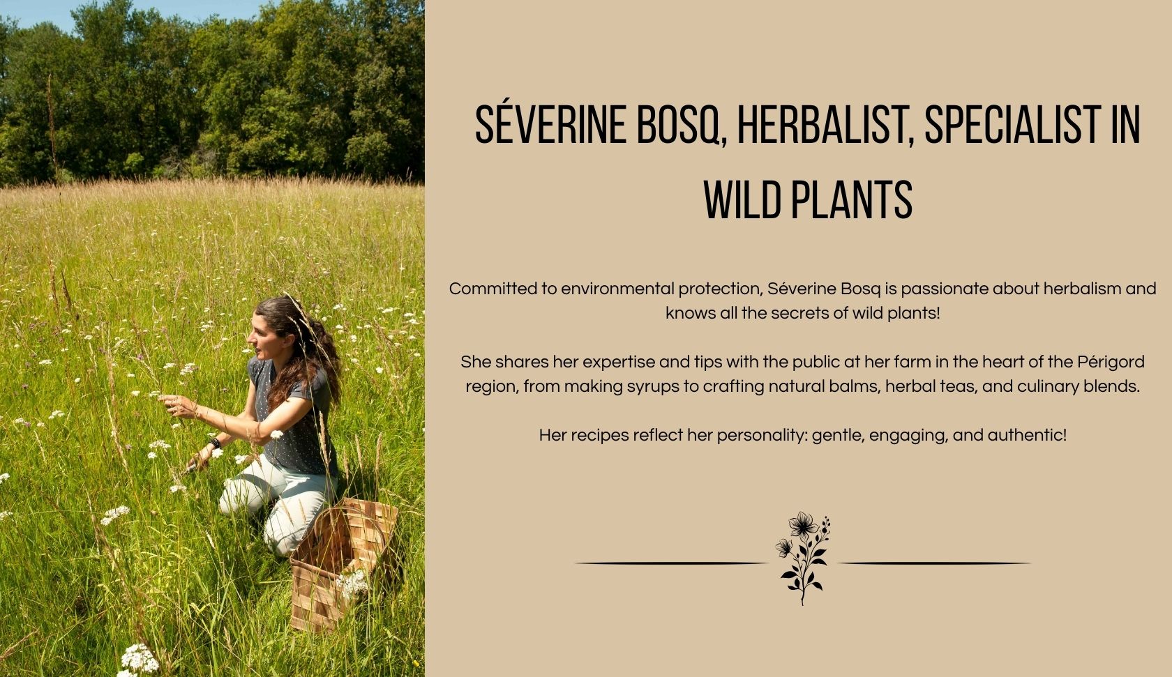 ®Séverine Bosq, herbalist, specialist in wild plants